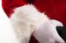 Professional Santa suit with long fur - fur texture