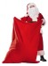 professional Santa suit with sack