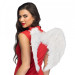 Angel Wings