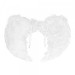 Angel Wings