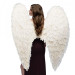 Huge Angel Wings
