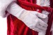 Santa gloves with velour Santa suit
