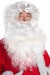 long white Santa beard (12"/30 cm) with wig