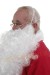 white Santa beard - side view